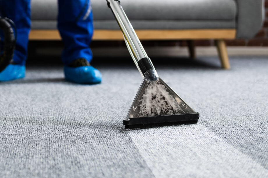 Closeup of professional carpet cleaning on a light gray rug in a living room